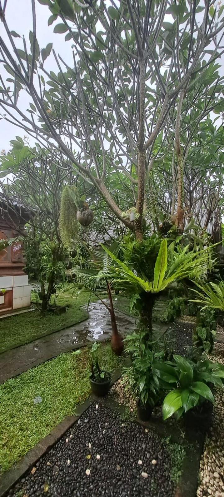 Serongga Guest House Lebih Kültér fotó